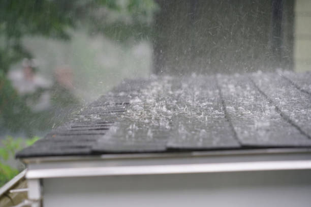 Best Solar Panel Roofing Installation  in Hale Center, TX