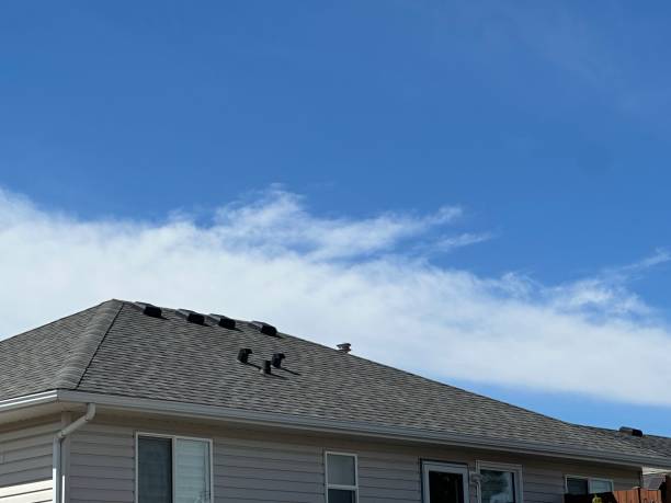 Fast & Reliable Emergency Roof Repairs in Hale Center, TX